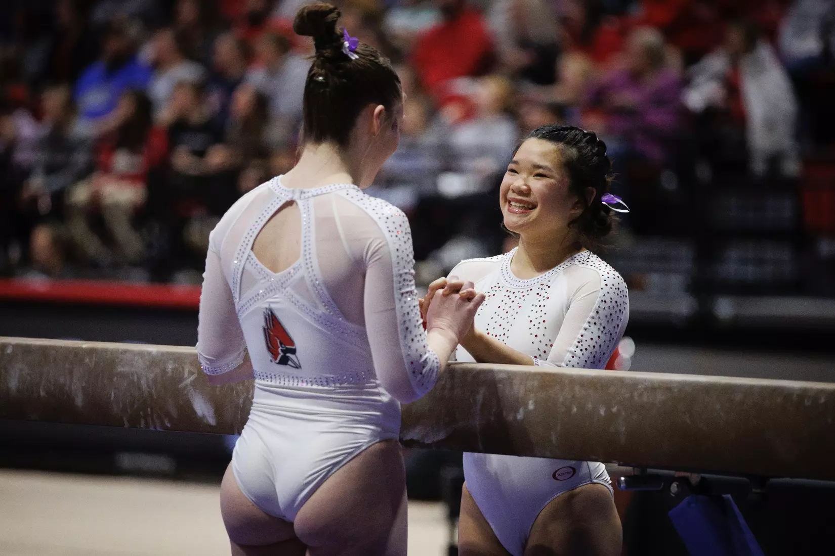 Ball State Gymnastics vs Central Michigan on Feb 9, 2025.