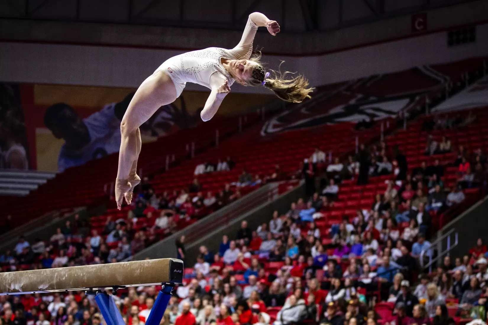 Ball State Gymnastics vs Central Michigan on Feb 9, 2025. Photo by Samantha Blankenship/Ball State University.