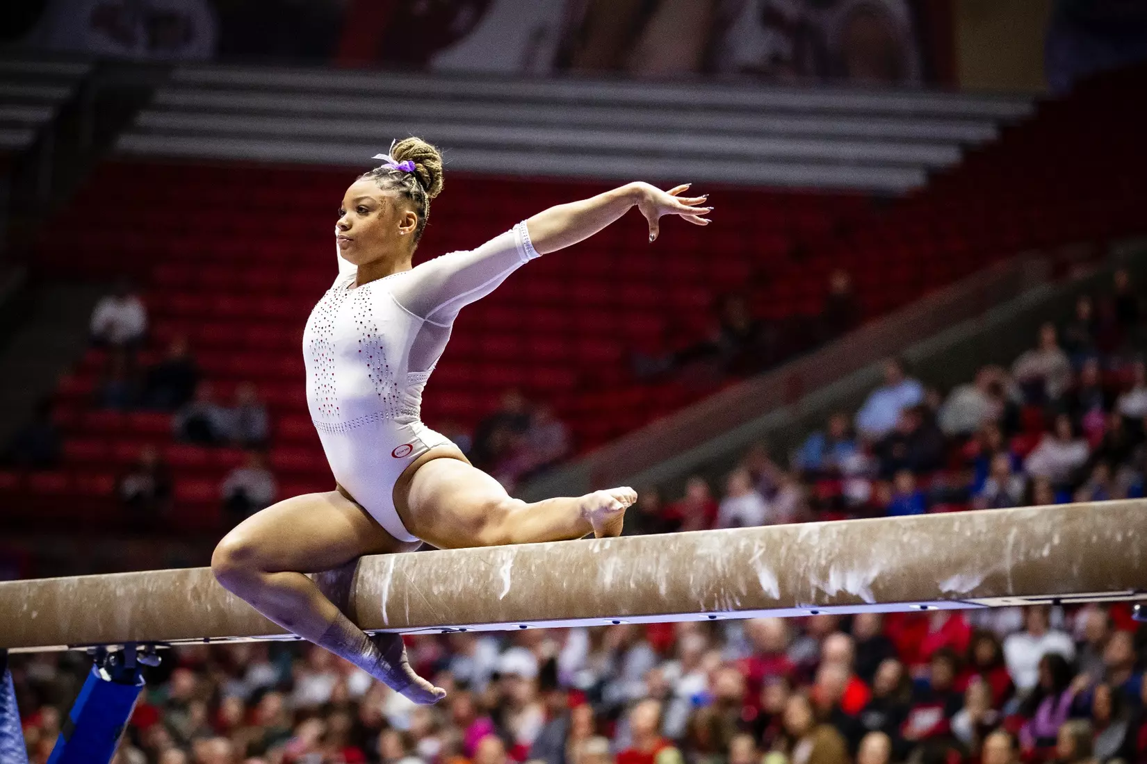 Ball State Gymnastics vs Central Michigan on Feb 9, 2025. Photo by Samantha Blankenship/Ball State University.