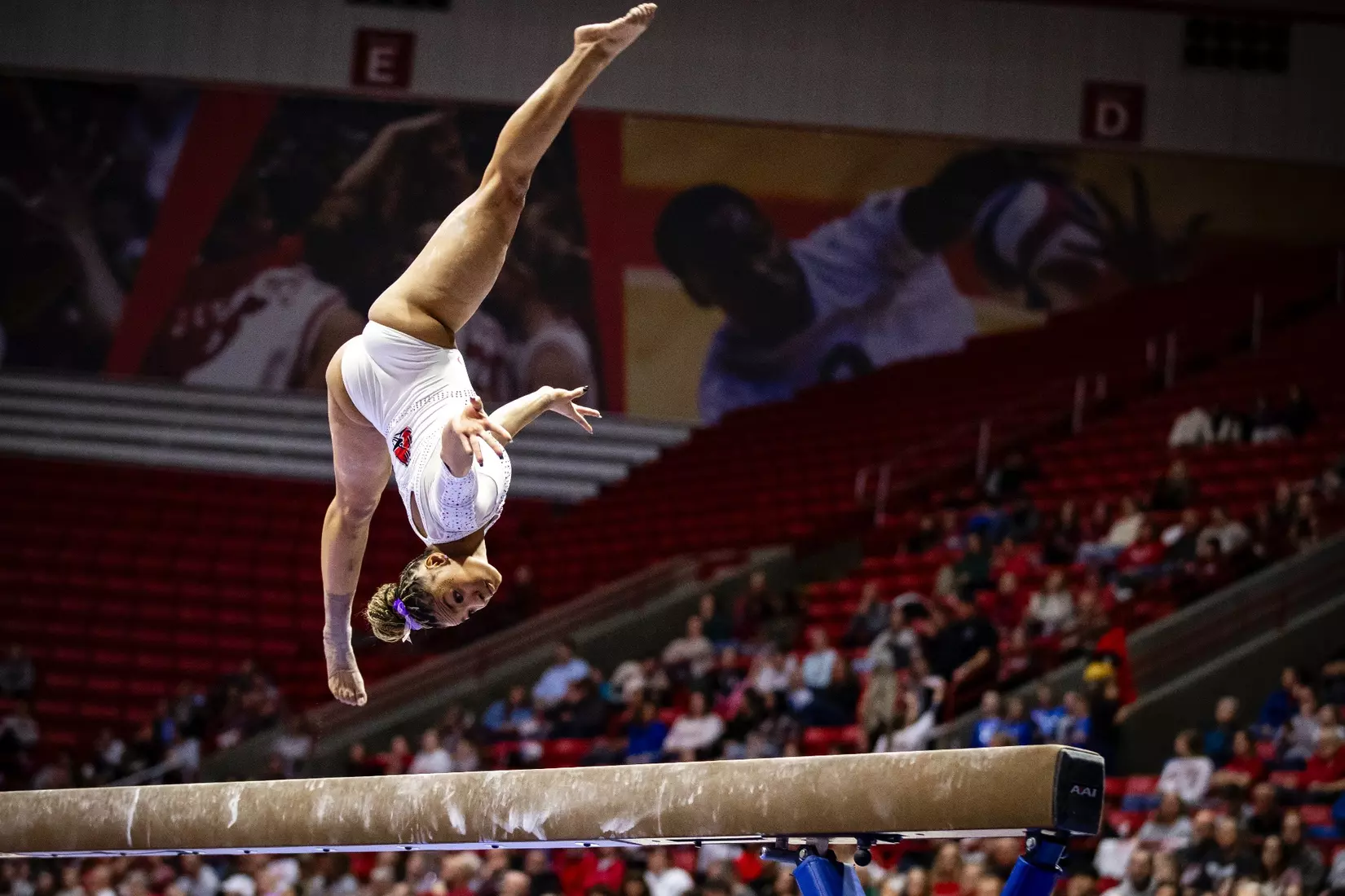 Ball State Gymnastics vs Central Michigan on Feb 9, 2025. Photo by Samantha Blankenship/Ball State University.