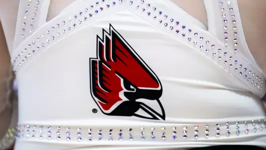 Beauty: Back of Gymnastics Leo