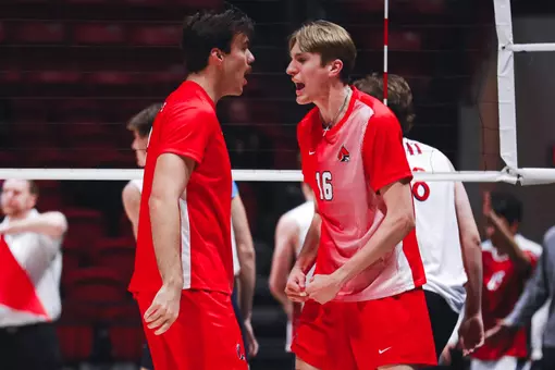 Surette and Louis vs Trine