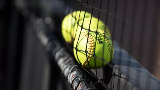 Softballs on the fence