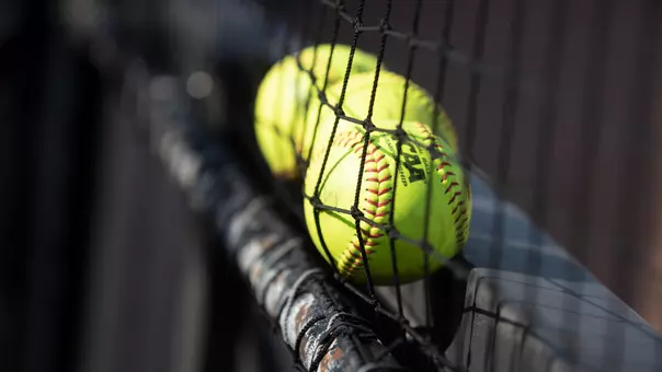 Softballs on the fence