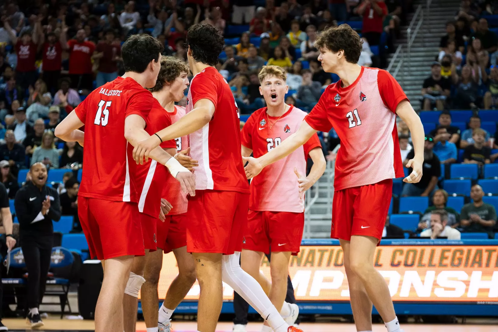 The Ball State men's volleyball team competes against the University of California Irvine in the NCAA Semi-Final at the Pauley Pavilion in Los Angeles, California on May 9, 2026 at Pauley Pavilion. Photo by Bobby Ellis/Ball State University.
