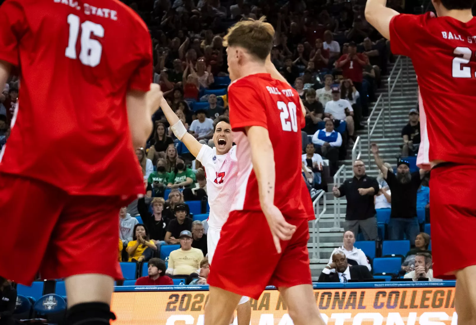 The Ball State men's volleyball team competes against the University of California Irvine in the NCAA Semi-Final at the Pauley Pavilion in Los Angeles, California on May 9, 2026 at Pauley Pavilion. Photo by Bobby Ellis/Ball State University.
