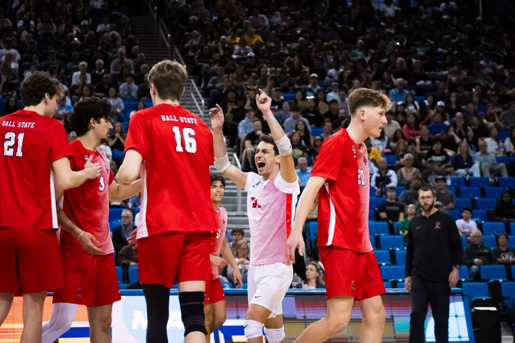 The Ball State men's volleyball team competes against the University of California Irvine in the NCAA Semi-Final at the Pauley Pavilion in Los Angeles, California on May 9, 2026 at Pauley Pavilion. Photo by Bobby Ellis/Ball State University.