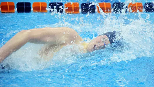 Swimming and Diving Hosts Pittsburgh Saturday