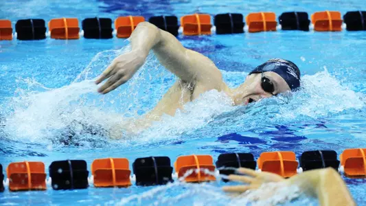 Three Members of Bison Swimming & Diving Teams Earn Academic Honors from CSCAA