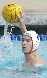 Bison Men's Water Polo Qualifies For Eastern Championships