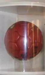 Bucknell Men's Water Polo European Tour Update #6