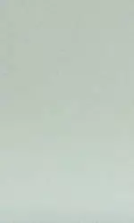 Bucknell Women's Water Polo Opens California Trip with 8-3 Victory Over Cal State San Bernardino