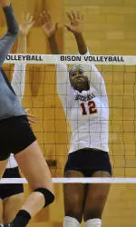 Bison Volleyball to Battle American, Navy at Davis Gym