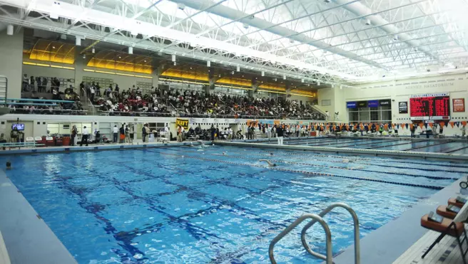 Women's Swimming and Diving Statistics