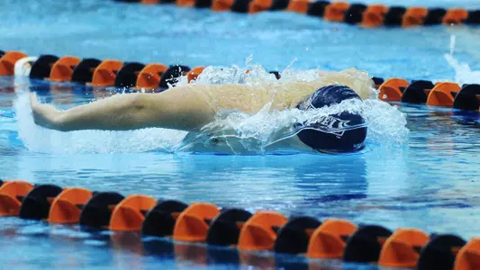 Final Dual Meet of Season for Swimming & Diving Saturday at Lehigh