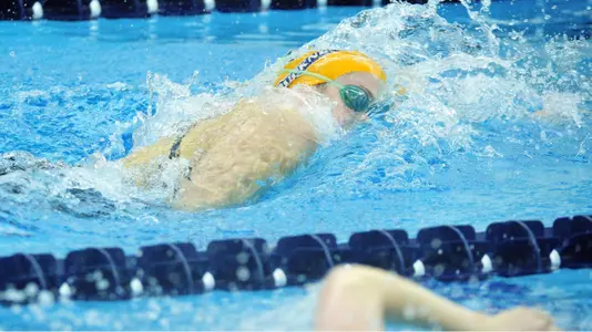 Women's Swimming & Diving Finishes Third at ECAC Championships