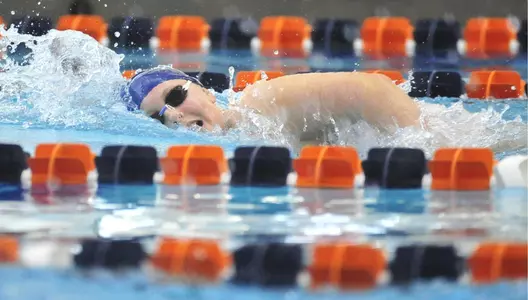 Bucknell Women's Swimming and Diving Blog - Team Captains