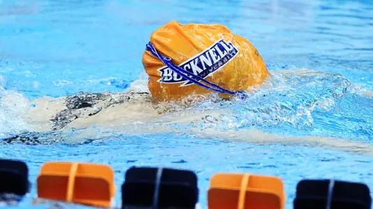 Women's Swimming and Diving Named Scholar All-America Team by CSCAA