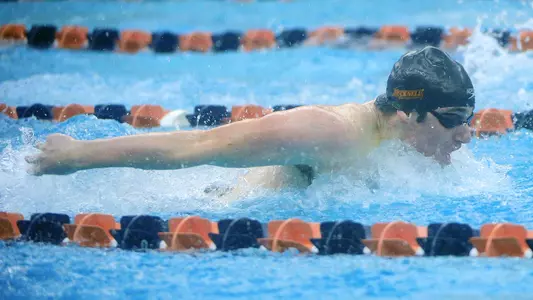Men's Swim & Dive Downed by Army West Point Image