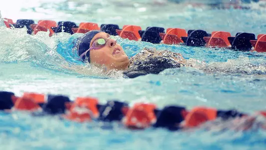 Women's Swim & Dive Hosts PL Championships at Kinney Natatorium Image