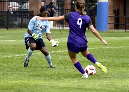 Theresa Adu-Attobrah