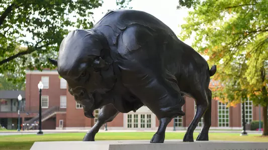 Bison Statue - App Header