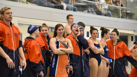 The Bison on the pool deck