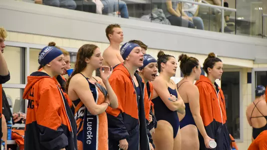The Bison on the pool deck