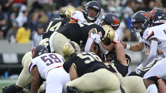 The Bison defense