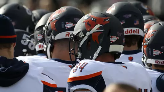 The Bison helmets