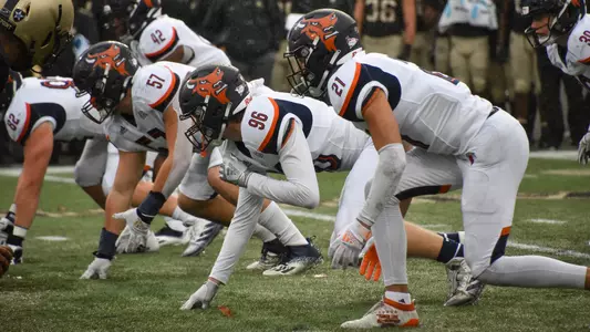 Bison defense