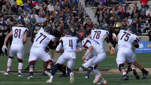The Bison at Army West Point