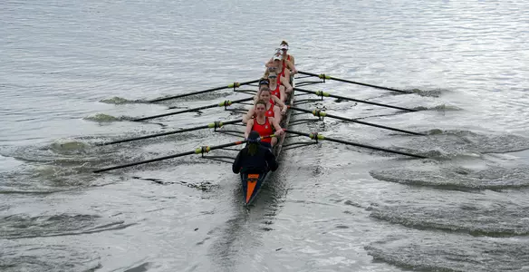 Bison Varsity Eight