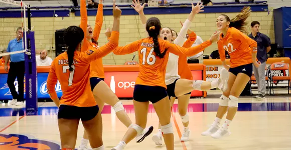 Volleyball Celebration