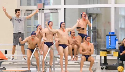 WP Team Bench