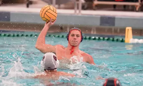 Tyler Hedblad