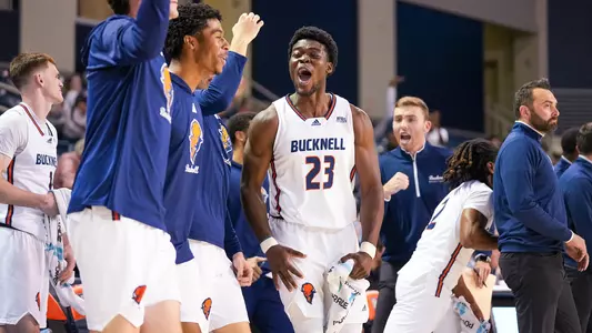 Bison Bench Celebration