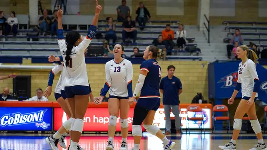 Volleyball Celebration