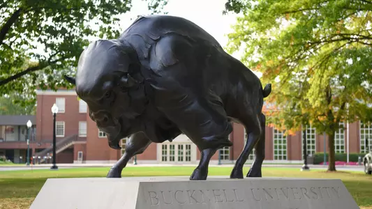 Bison Statue 1920x1080
