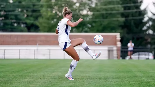 Julia Palitti Action
