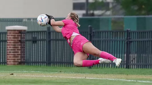 Dylan Zednik Action