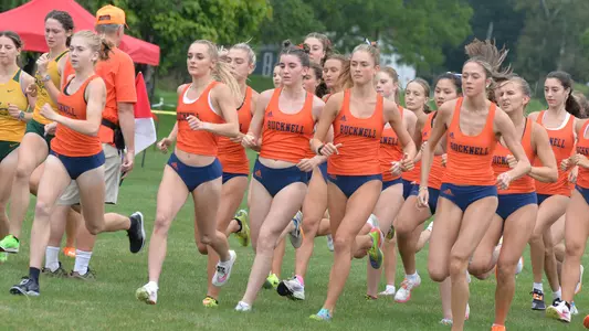 Bucknell Bison runners