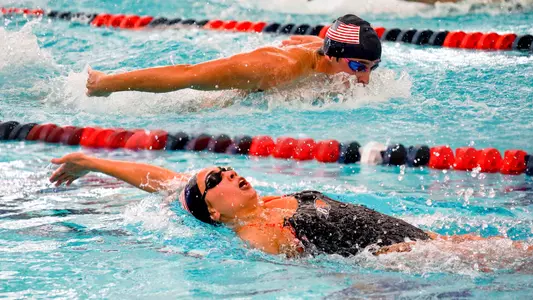 Swimming Preview Bison Invite