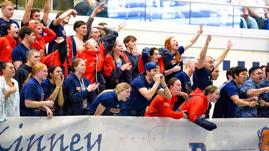 Bison swimming & diving cheer