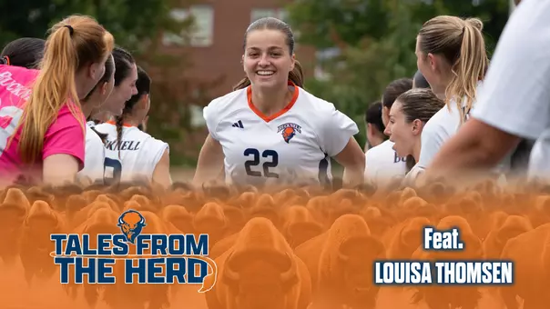 Louisa Thomsen Tales from the Herd