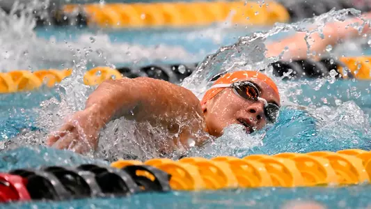 WSWIM PL Championships