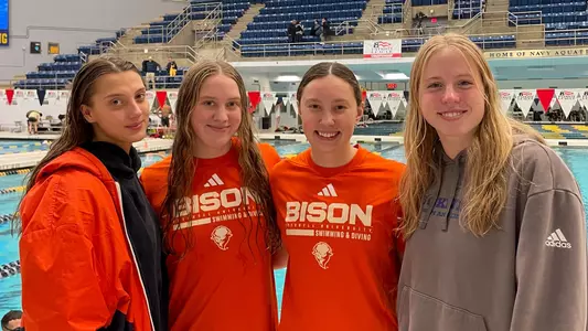 Gajecki, Bingley, Benjiza,