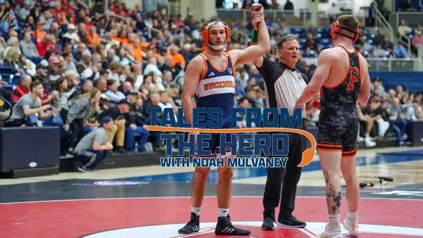 Noah Mulvaney - Tales from the Herd