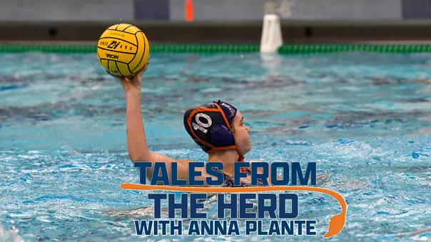 Anna Plante - Tales from the Herd