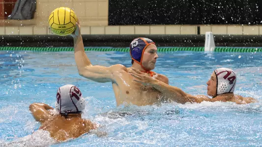 Tyler Hedblad